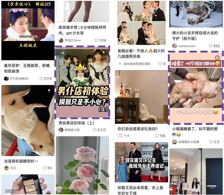 鸟哥笔记,新媒体,千瓜数据,短视频,内容运营,新媒体运营,新媒体运营,小红书