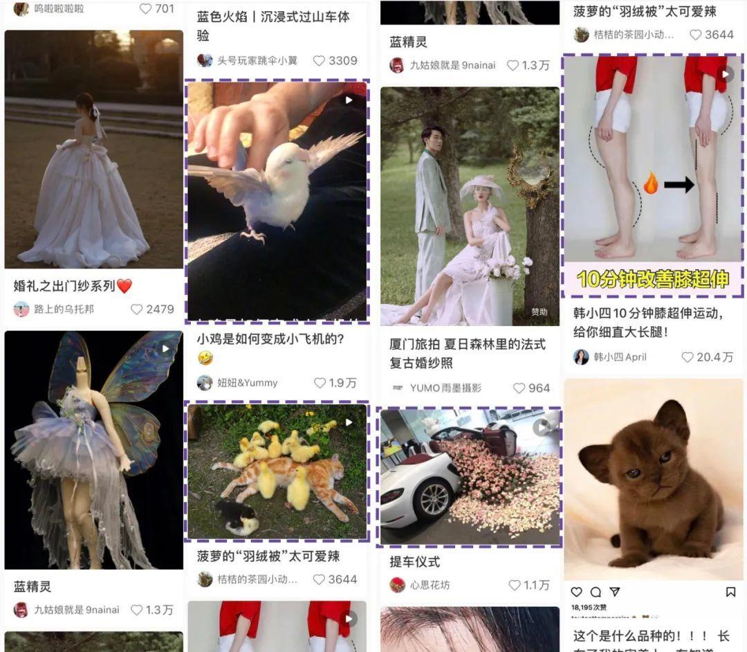 鸟哥笔记,新媒体,千瓜数据,短视频,内容运营,新媒体运营,新媒体运营,小红书