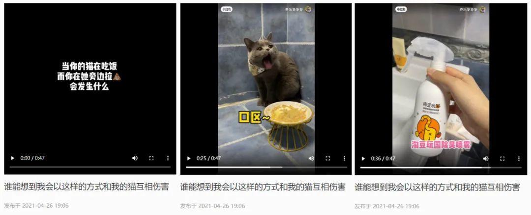 鸟哥笔记,新媒体,千瓜数据,短视频,内容运营,新媒体运营,新媒体运营,小红书