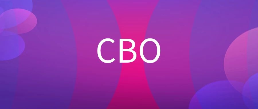 CBO是什么意思（首席品牌官是做什么的）