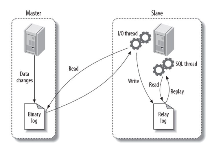 MySQL数据库知识汇总